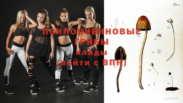дурь Нея
