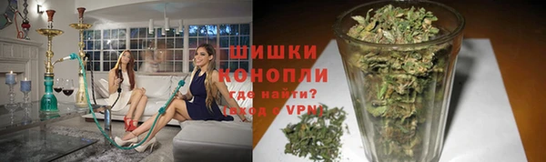 дурь Нея