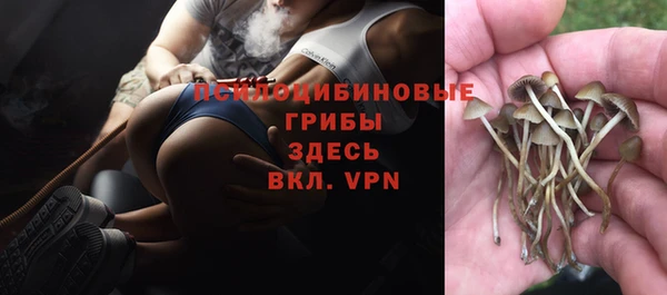 дурь Нея