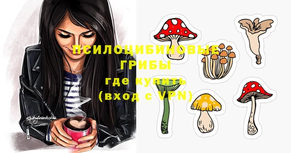 дурь Нея
